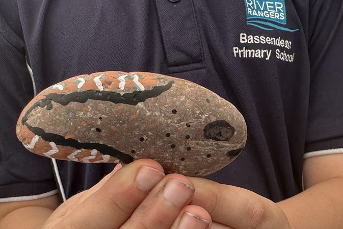 Eco Rock Art Incursion Life Cycles Aquatic Organisms