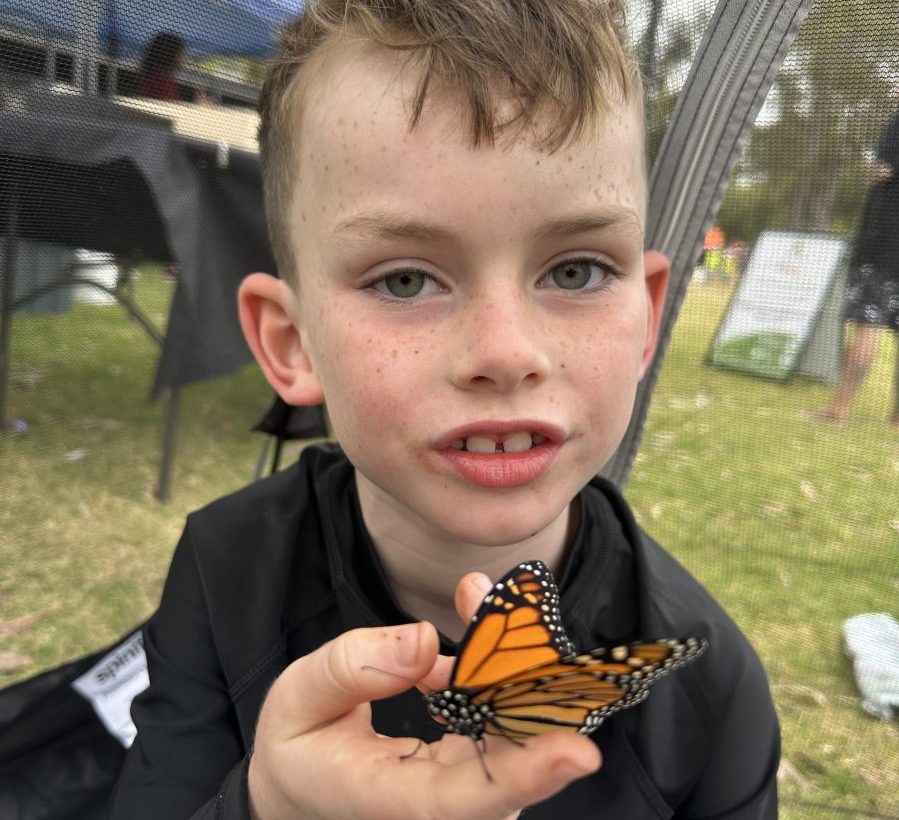 child holding a butterfly
