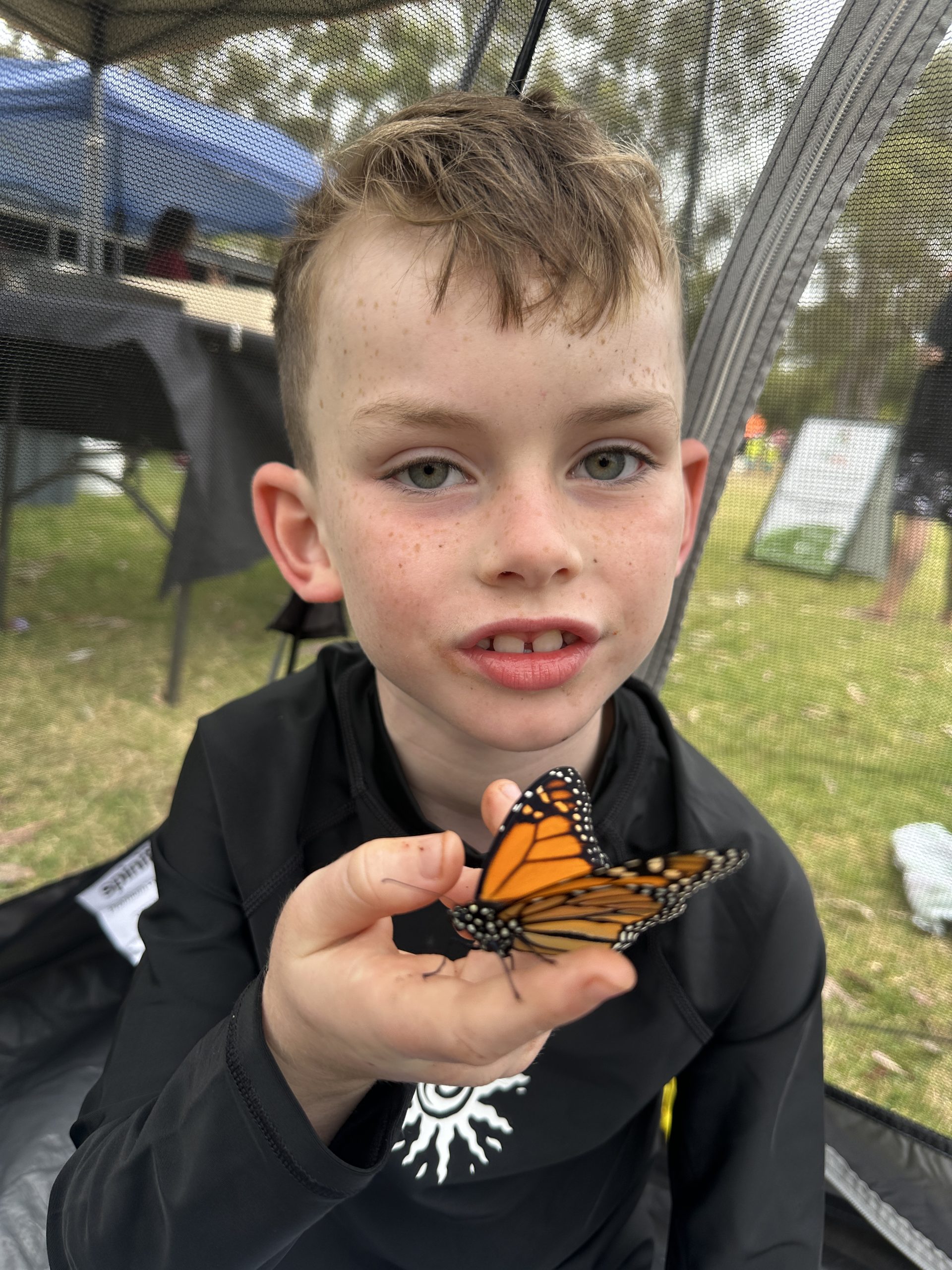child holding a butterfly
